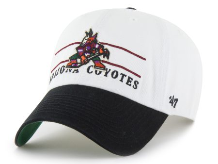 ARIZONA COYOTES ARENA  47 CLEAN UP Online Hot Sale