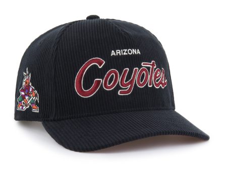 ARIZONA COYOTES CROSSTOWN CORD ARCH  47 HITCH Supply