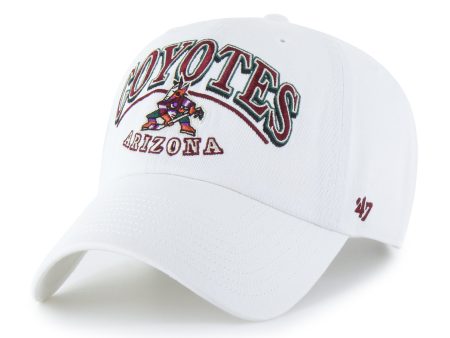 ARIZONA COYOTES STARK  47 CLEAN UP Online Hot Sale