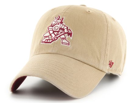 ARIZONA COYOTES FALL BALLPARK  47 CLEAN UP Online now