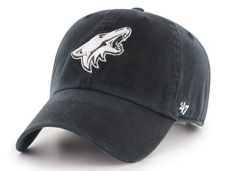 ARIZONA COYOTES  47 CLEAN UP Hot on Sale