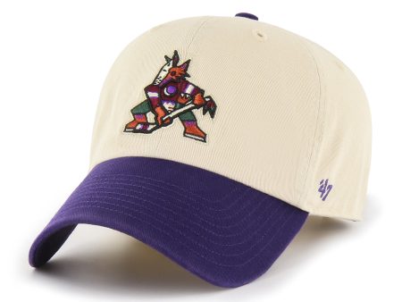 ARIZONA COYOTES TWO TONE  47 CLEAN UP on Sale