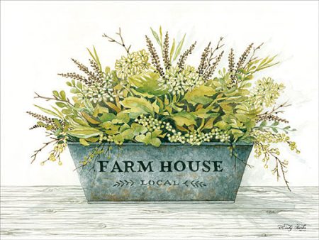 CIN1102 - Farmhouse - 16x12 Cheap