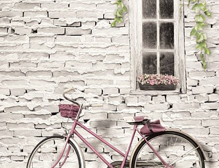 LD1263 - Ready for a Bike Ride - 12x16 Hot on Sale