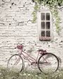 LD1263 - Ready for a Bike Ride - 12x16 Hot on Sale