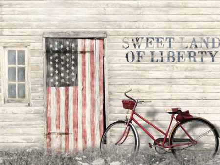 LD1289 - Sweet Land of Liberty - 18x12 Cheap