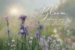 LD1325 - Bloom Where You are Planted - 18x12 Online now