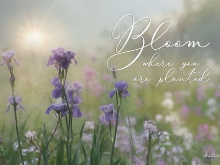 LD1325 - Bloom Where You are Planted - 18x12 Online now