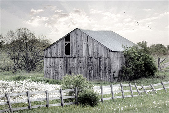 LD1275 - Barnsville Barn - 18x12 Online now