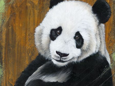 BHAR465 - Panda Smile - 12x12 Online