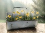 LD1326 - Daffodil Tin - 18x12 For Sale