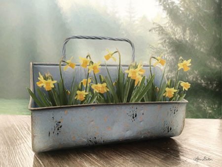 LD1326 - Daffodil Tin - 18x12 For Sale