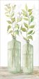 CIN1175 - Simple Leaves in Jar I Supply